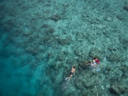 Snorkelling Anantara Dhigu