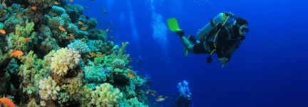 Emerald Maldives Resort & Spa Diving Water Sports