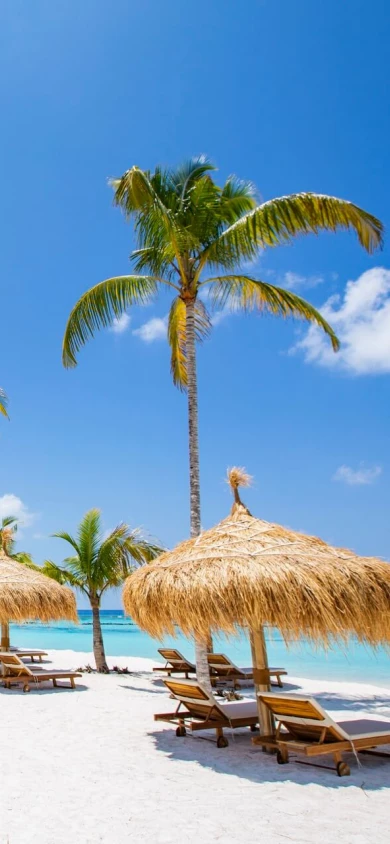 Emerald-Maldives---Beach-Club.jpg