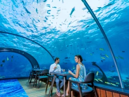 Hurawalhi Island Resort 5.8 Underwater Restaurant Couple