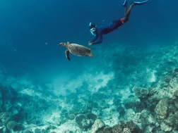 Turtle Quest Niyama Private Islands