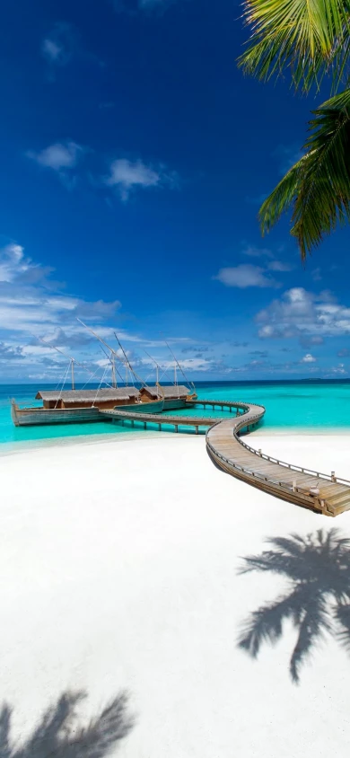 Batheli-from-the-beach-new-sakis---Copy.jpg