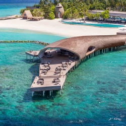 THE WHALE BAR