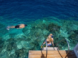 Snorkelling House Reef Amilla Maldives Resort and Residences