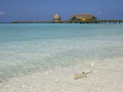 Emerald Faarufushi Resort & Spa Lagoon