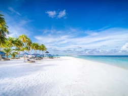 Beach Finolhu Baa Atoll Maldives