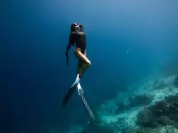 Raffles Maldives Meradhoo Free Diving