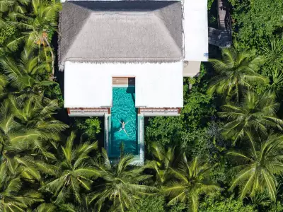 Treetop Pool Villa Aerial Amilla Maldives Resort And Residences