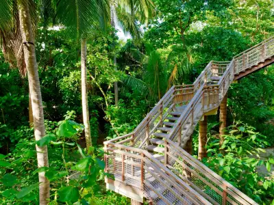 Treetop Pool Villa Staircase Amilla Maldives Resort And Residences