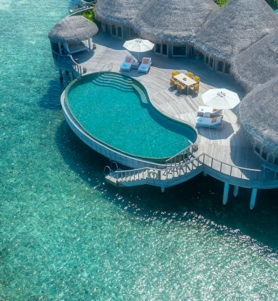 The Nautilus Retreat