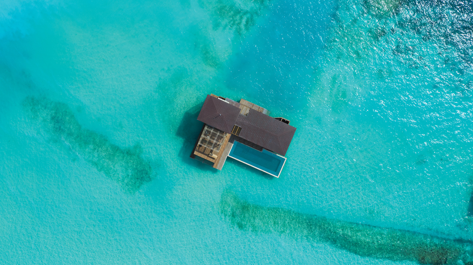 Waldorf Astoria Maldives Ithaafushi Stella Maris Ocean Villa with Pool